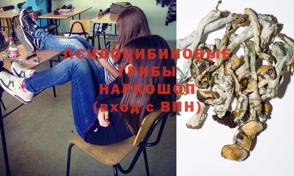 ГАЛЛЮЦИНОГЕННЫЕ ГРИБЫ Абинск