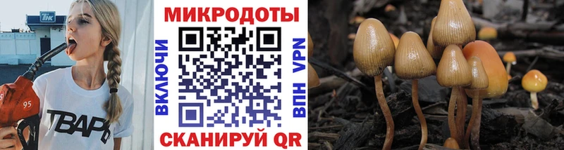 Псилоцибиновые грибы GOLDEN TEACHER  KRAKEN tor  Чкаловск 