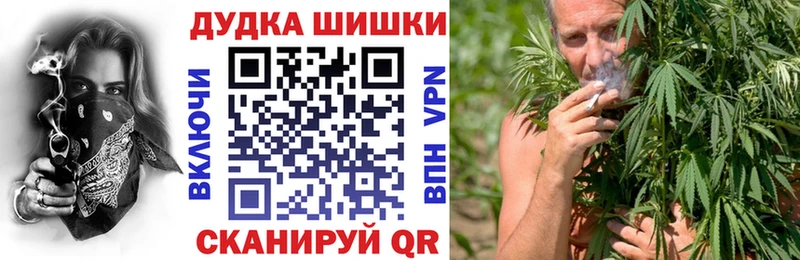 Шишки марихуана THC 21%  Чкаловск 